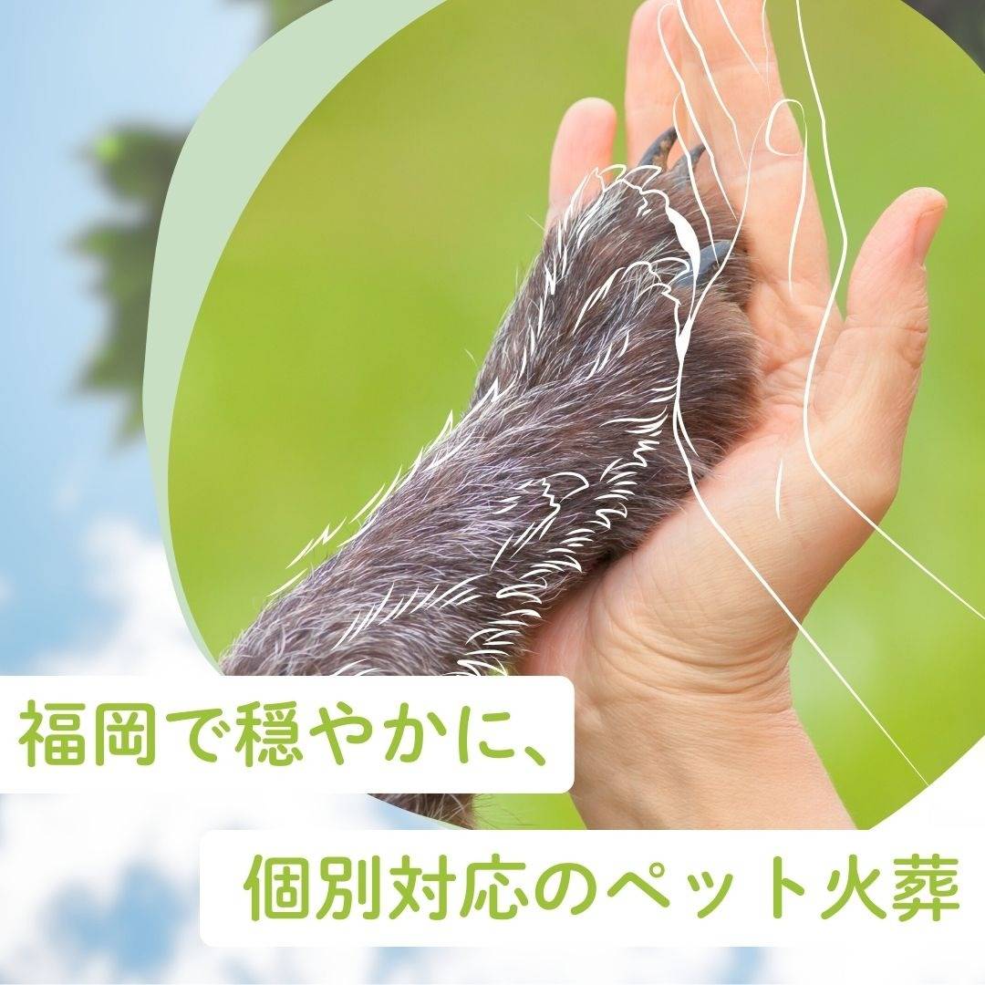 popup_banner