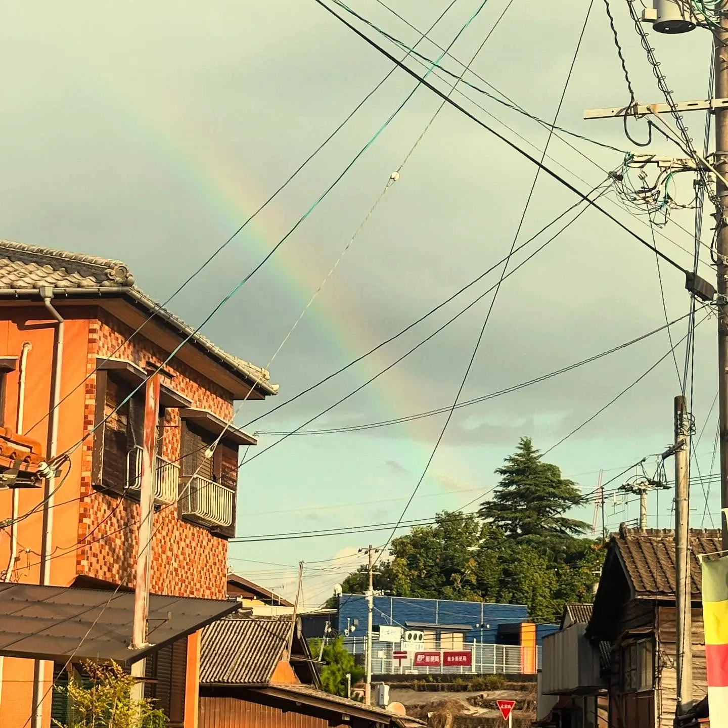 電線で不恰好ですが、夕方に虹が出ていました🌈