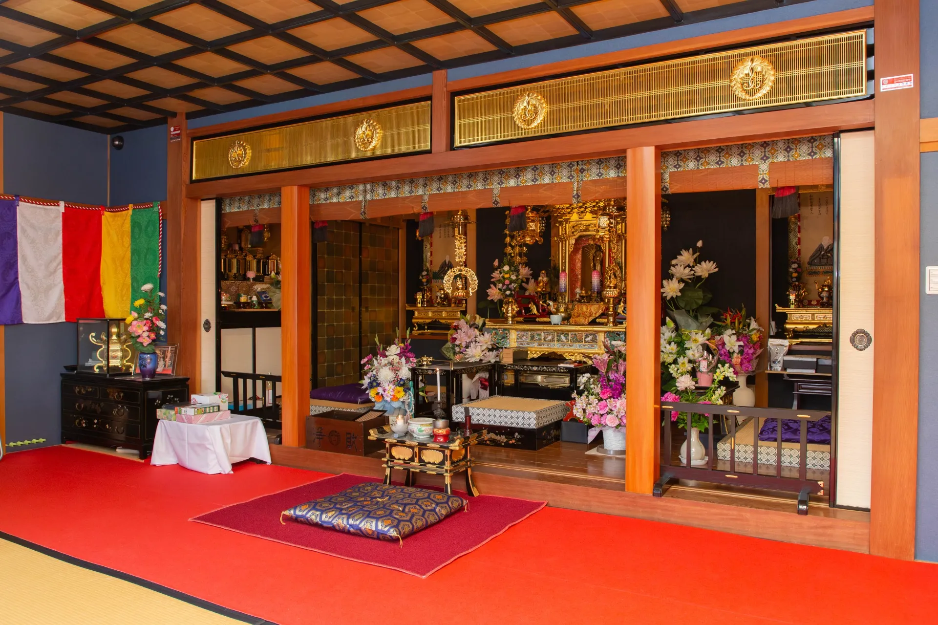 福岡･筑豊のペット火葬で亀の最期を見送る方法と遺骨供養の選択肢まとめ