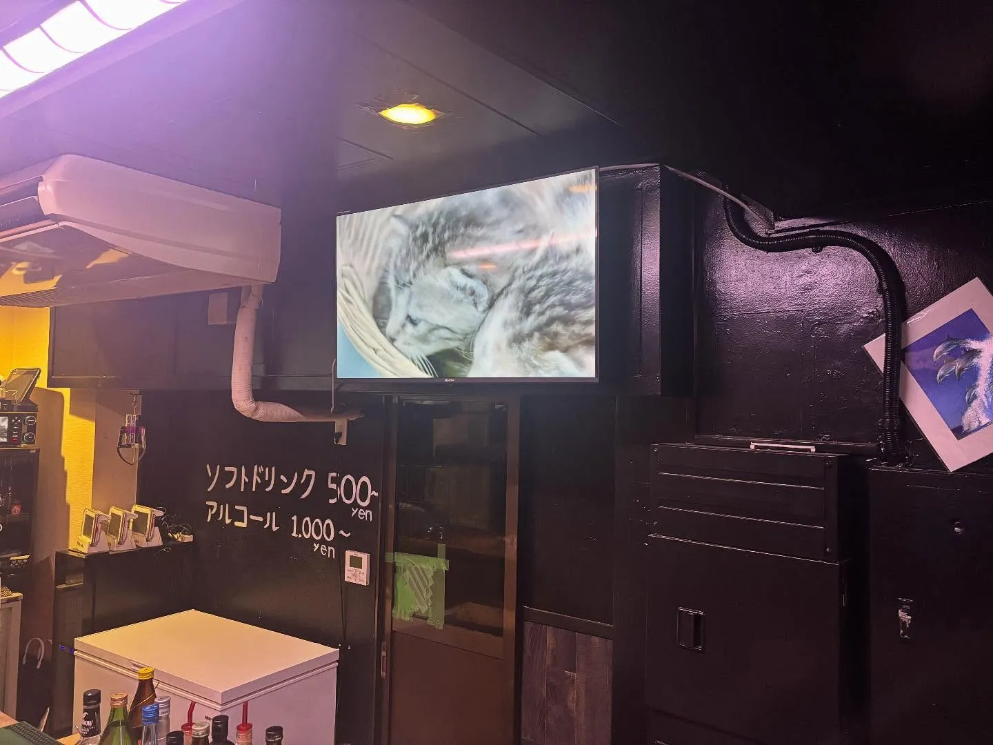 🐾チラシ設置店のご紹介🐾