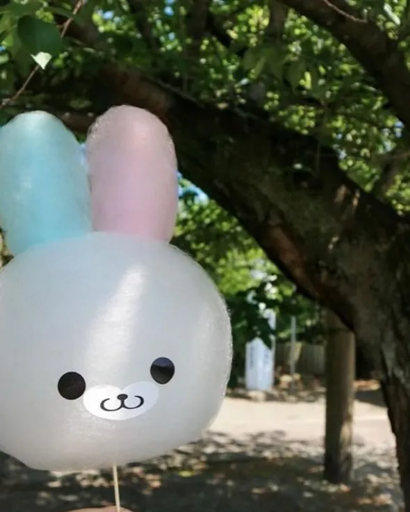 🍲どすこいちゃんこフェス出店紹介【Part4】✨