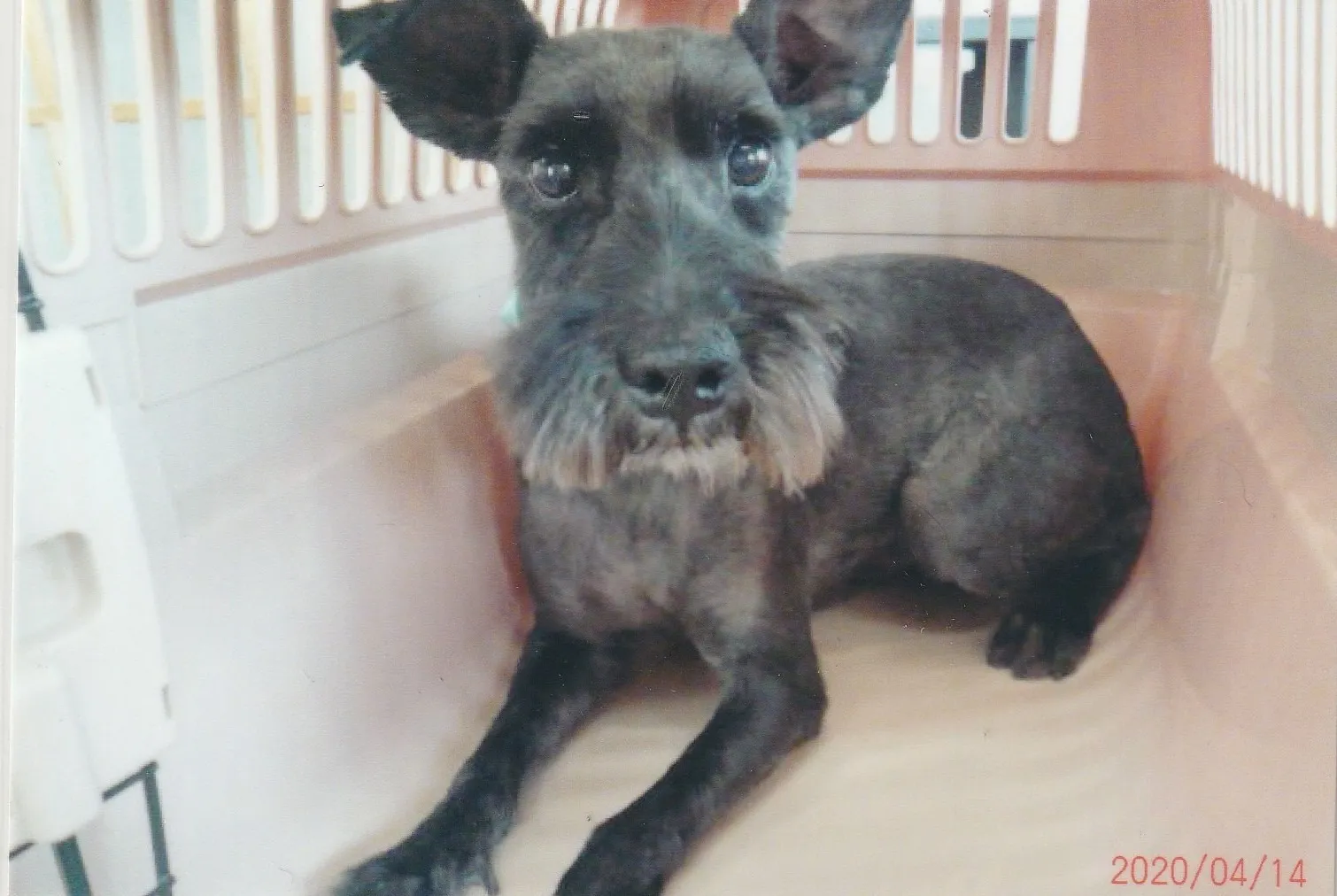 宮若市のロイくん③