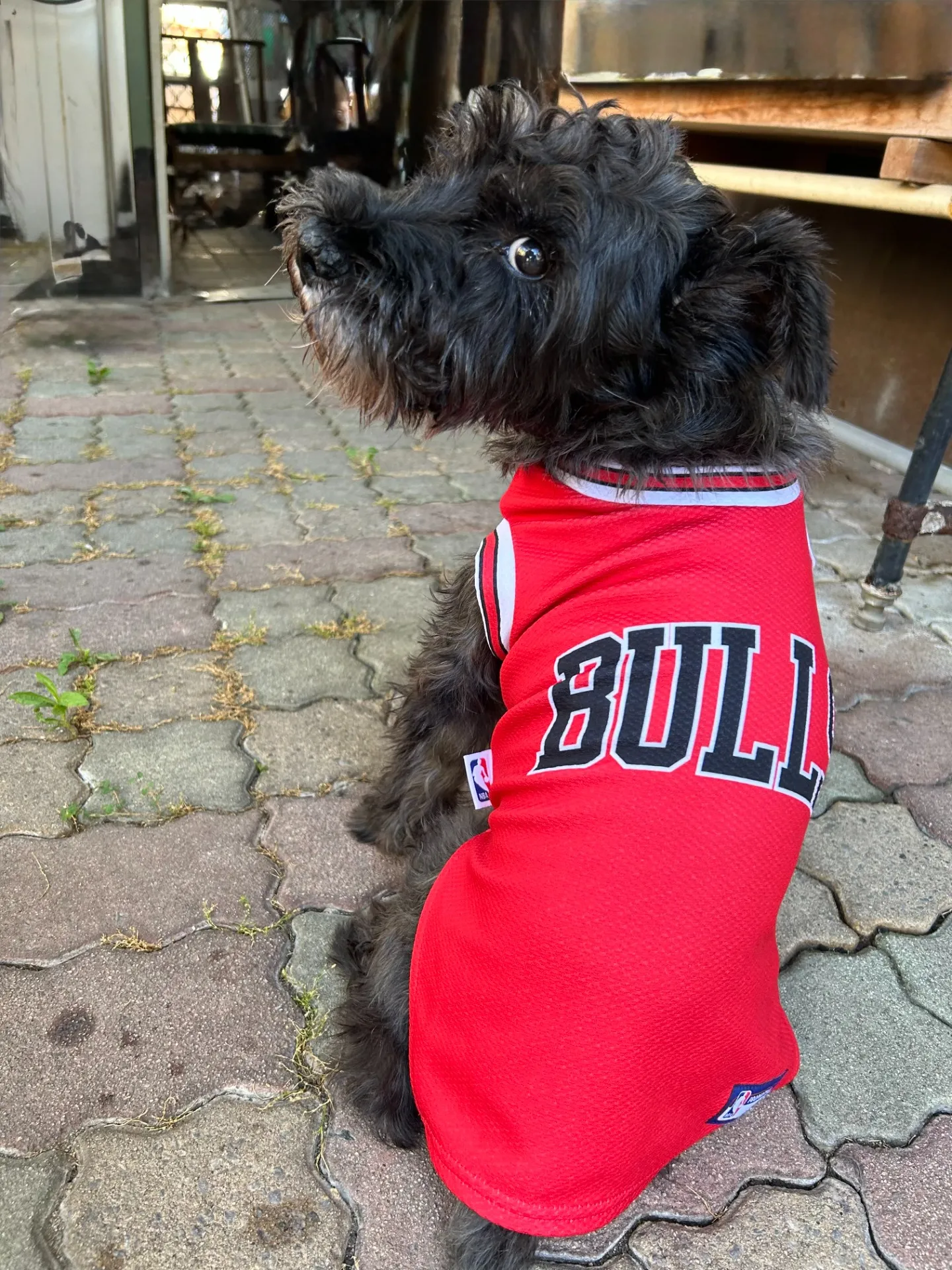 宮若市のロイくん①