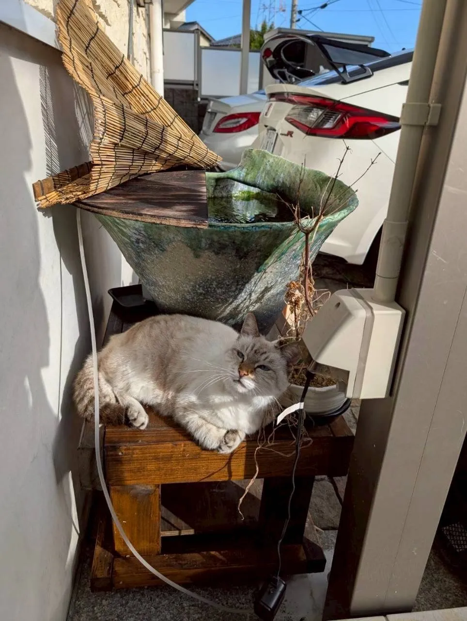 飯塚市のおしゃちゃん②