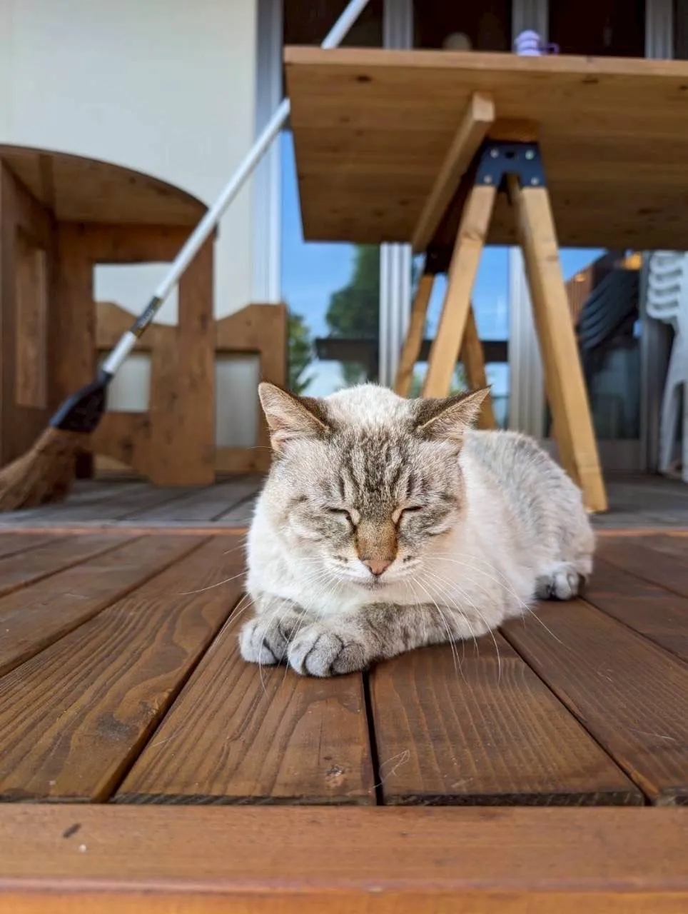 飯塚市のおしゃちゃん③