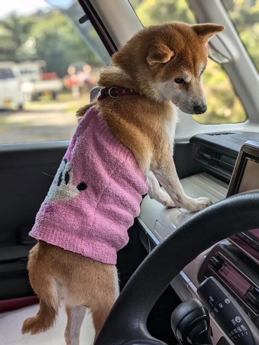 嘉麻市のきらりちゃん①