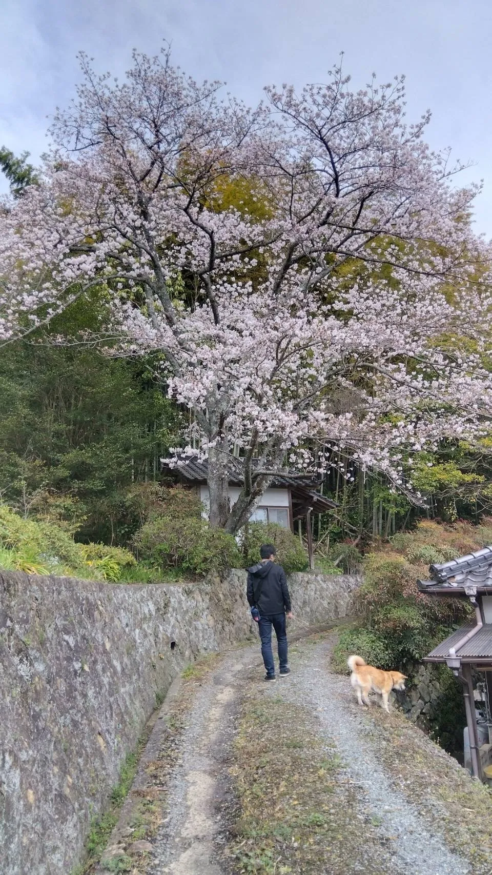 宮若市のことねちゃん①