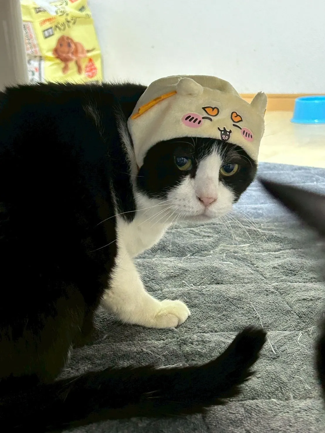 飯塚市のポニョくん①