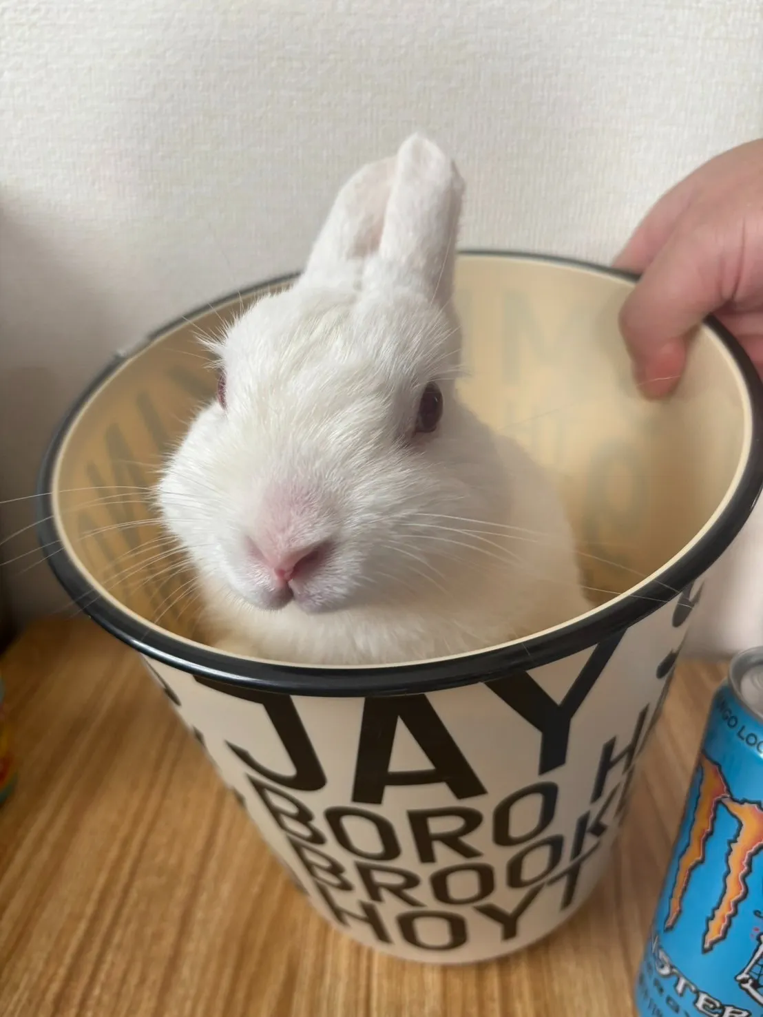 飯塚市の大福ちゃん①