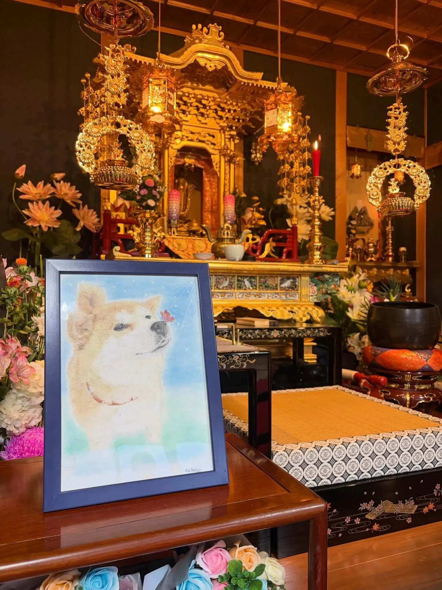 🐾【嘉麻市｜豆しばのきらりちゃんの四十九日法要】🌸