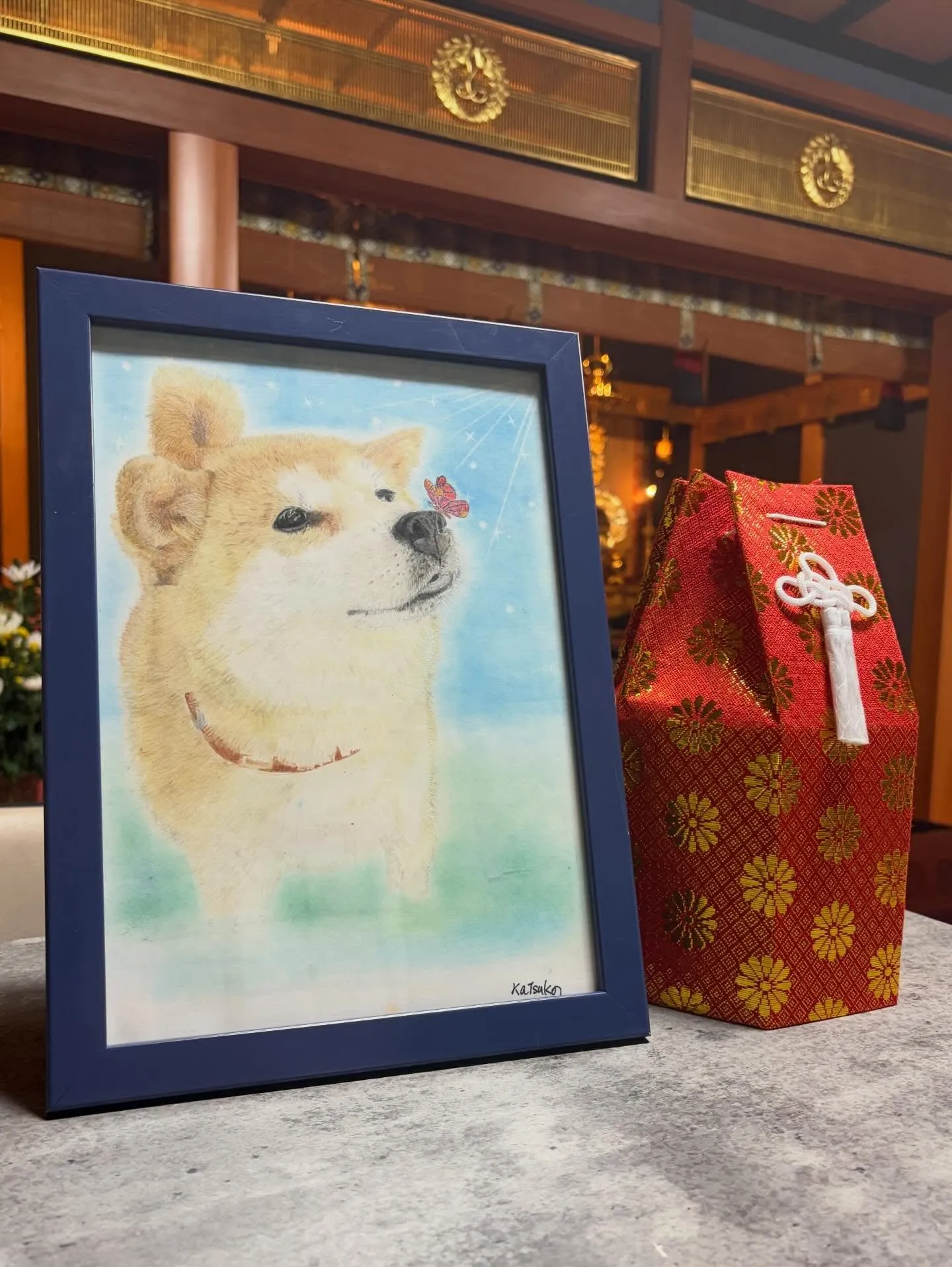 🐾【嘉麻市｜豆しばのきらりちゃんの四十九日法要】🌸