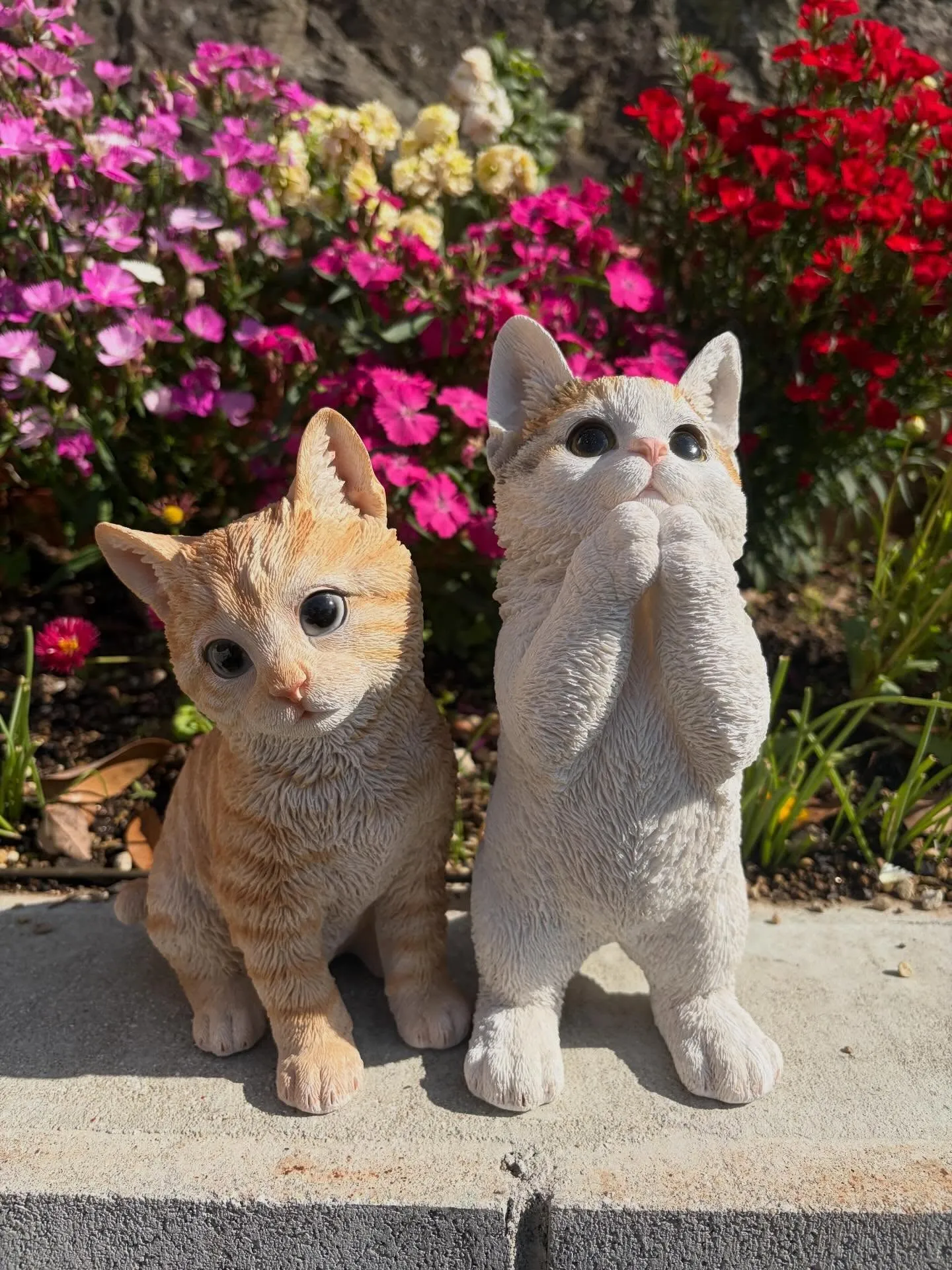 🐾【飯塚市｜ミックス猫のミンミちゃんのお見送り】🌸