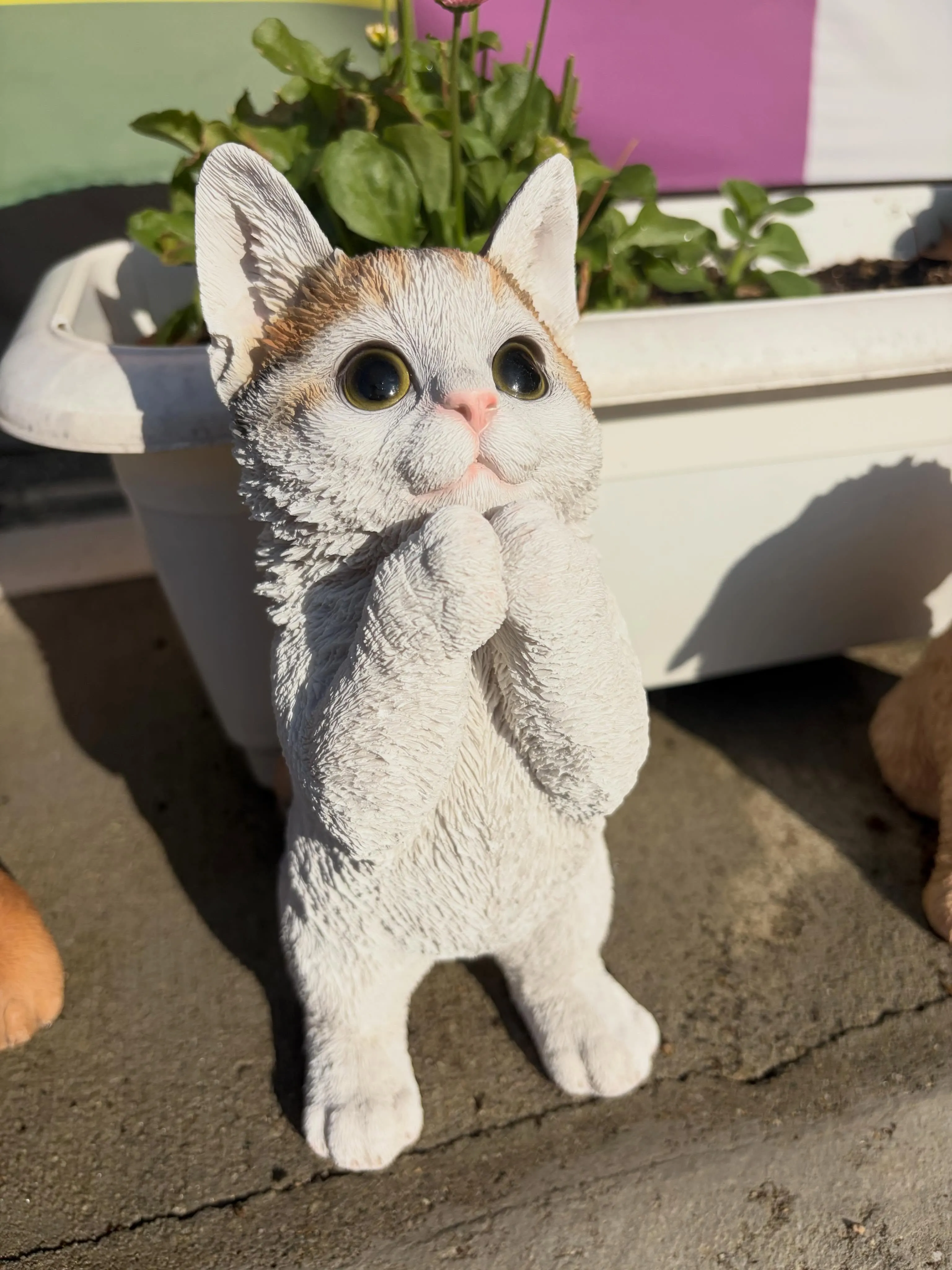 🐾【行橋市｜アニモ動物クリニック様からのご依頼】🌸