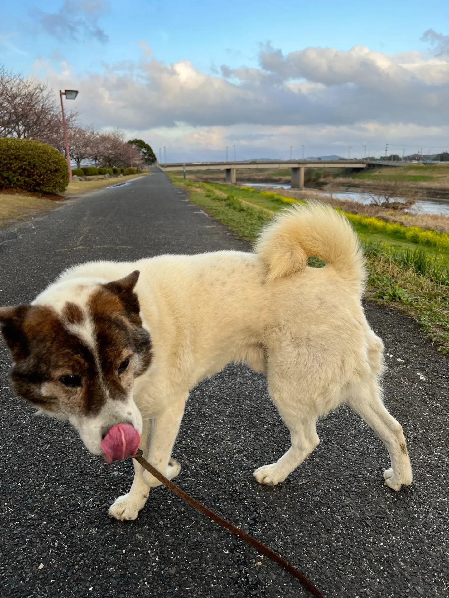 宮若市のハッピィくん③