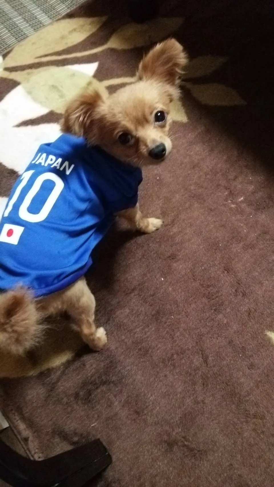 直方市のくぅーちゃん