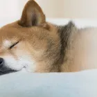 プライバシーポリシー