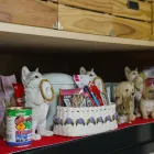 小動物