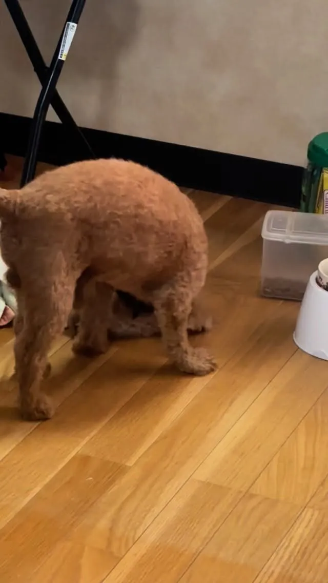 ご飯を食べる時の儀式。