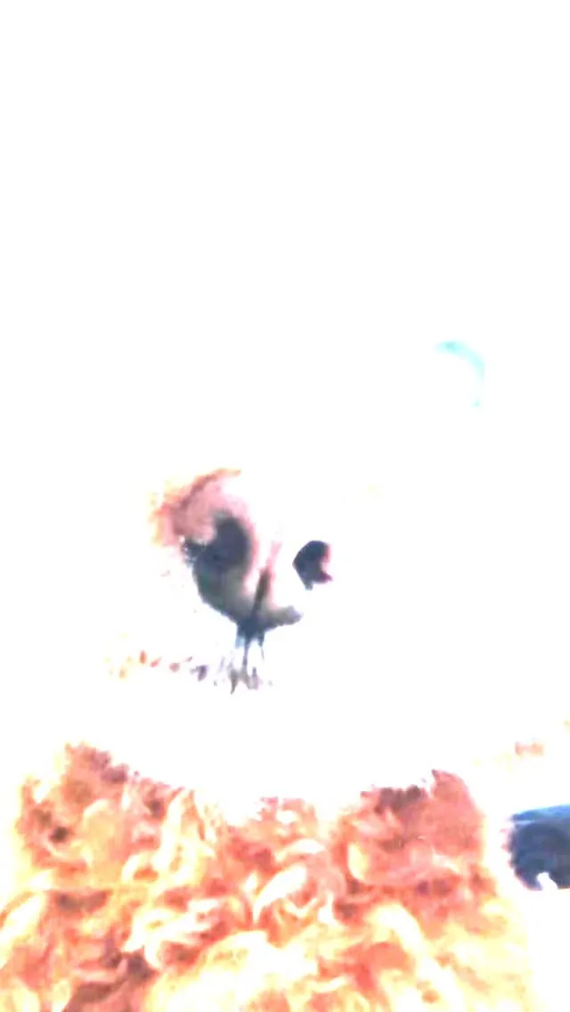 【小竹町｜みそくんのお見送り】🌸