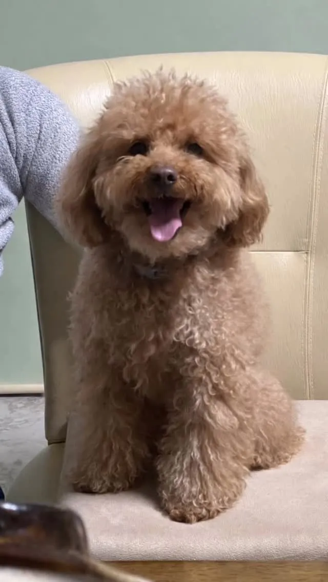 🐾【桂川町｜そらちゃんのお見送り】🌈