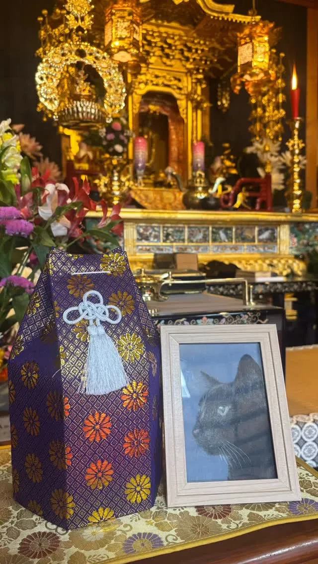 🐾【四十九日法要を執り行いました】🌈