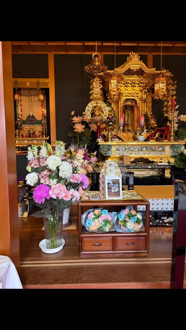 【🌸猫のおしゃちゃんの四十九日🌺】